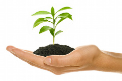Our contribution to climate protection
